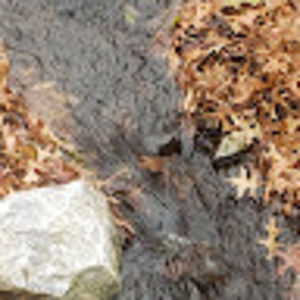 Meet your Posher, Shellie